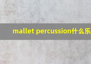 mallet percussion什么乐器